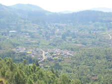 Lodges in mettupalayam