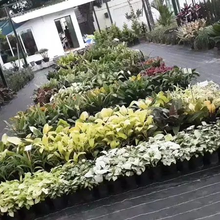 Sathya Garden Resort