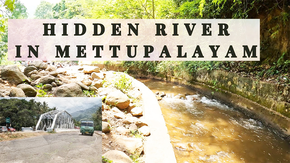 Sathya Garden Resort