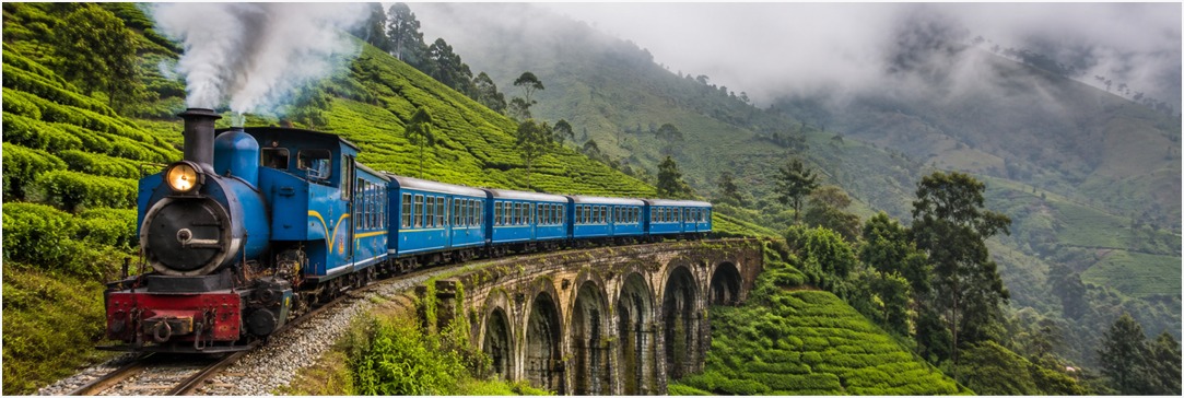 Ooty Toy Train Guide: Mettupalayam to Ooty Train Booking, Timings and Ticket Price